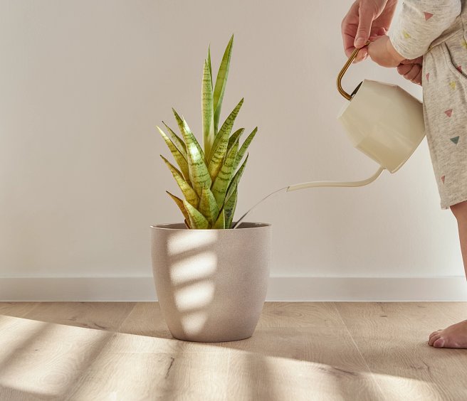 Coretec Naturals Forest 50 LVP 806 Plank Click SPC Flooring