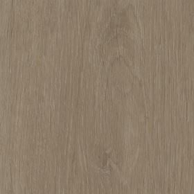 Invictus Maximus Elegant Oak - Tan Glue Down LVT Flooring