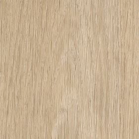 Invictus Maximus Highland Oak - Sunrise Glue Down LVT Flooring
