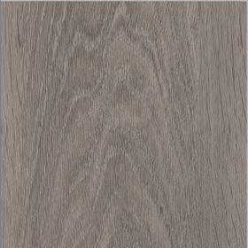 Invictus Maximus Silk Oak - Shade Glue Down LVT Flooring