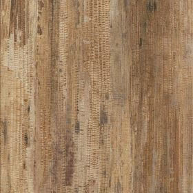 Invictus Maximus Tropical Forest - Havana Glue Down LVT Flooring