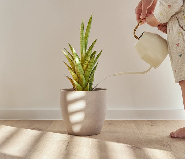 Coretec Naturals Forest 50 LVP 806 Plank Click SPC Flooring