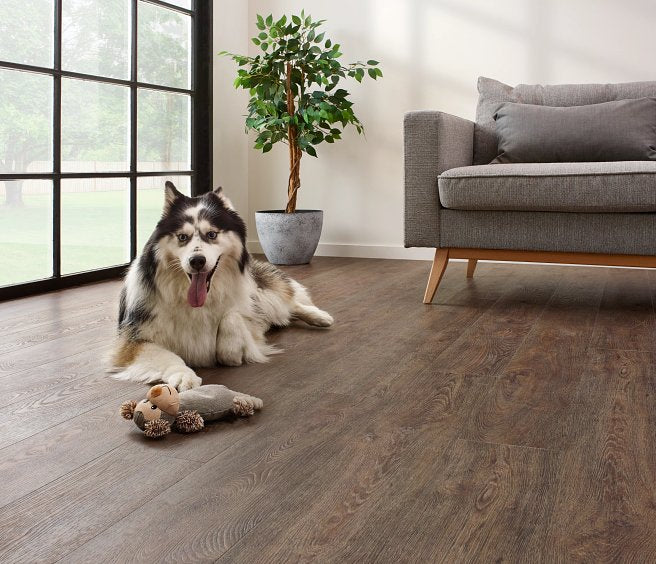 Coretec The Essentials Jasper Oak 01 50 LVR 9601 Plank Click SPC Flooring