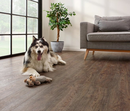 Coretec The Essentials Jasper Oak 01 50 LVR 9601 Plank Click SPC Flooring