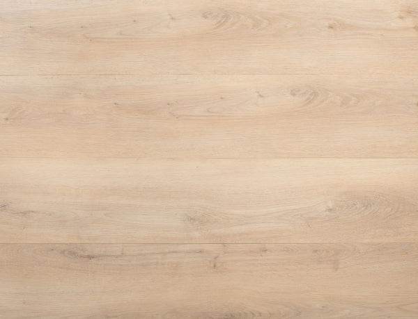 Lattia Piana Whisper Oak LPP0002 Plank Glue Down LVT Flooring