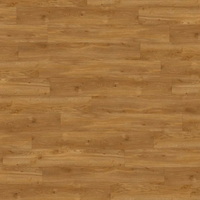 Amtico Spacia Traditional Oak ss5w2514 Plank Glue Down LVT Flooring