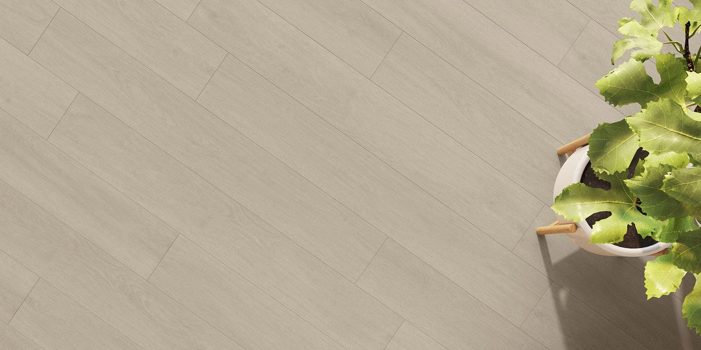 Invictus Maximus Elegant Oak - Vanilla Glue Down LVT Flooring