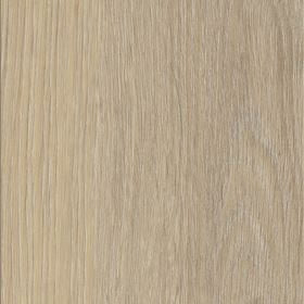 Invictus Maximus French Oak - Desert Glue Down LVT Flooring