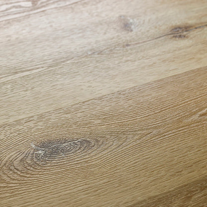 Textures Sycamore TP01 Plank Glue Down LVT Flooring