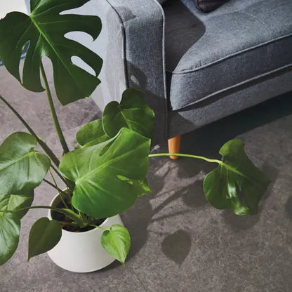 Karndean Van Gogh Volcanic Black VGT2406 Stone Tile Glue Down LVT Flooring